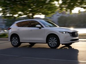 Exhaust & Muffler Repair Service in Service