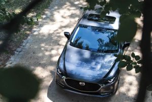 Windshield Repair and Replacement Service in Kamloops, BC