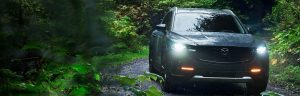 Mazda CX-50 driving through forest.