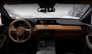 View from inside vehicle of snow on the outside