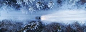 Vehicle driving through forest in snow.